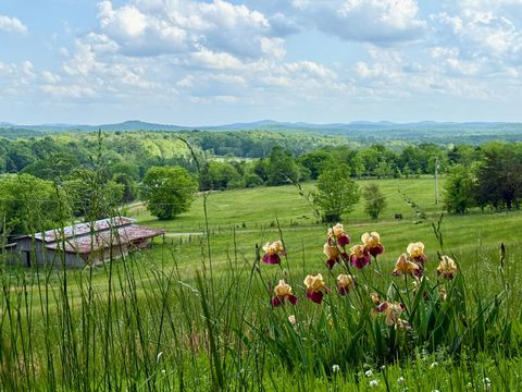 1933B Chicken Rd Lebanon TN 37090