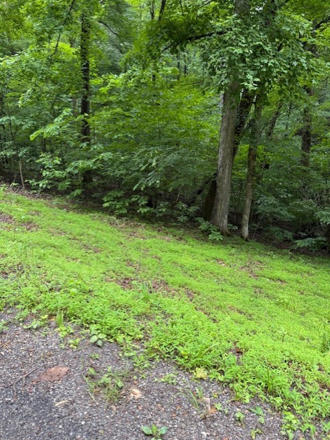 0 Mayapple Drive