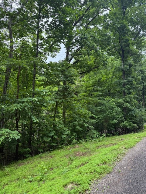 0 Mayapple Drive