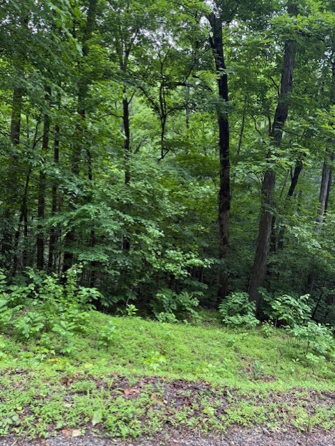 0 Mayapple Drive