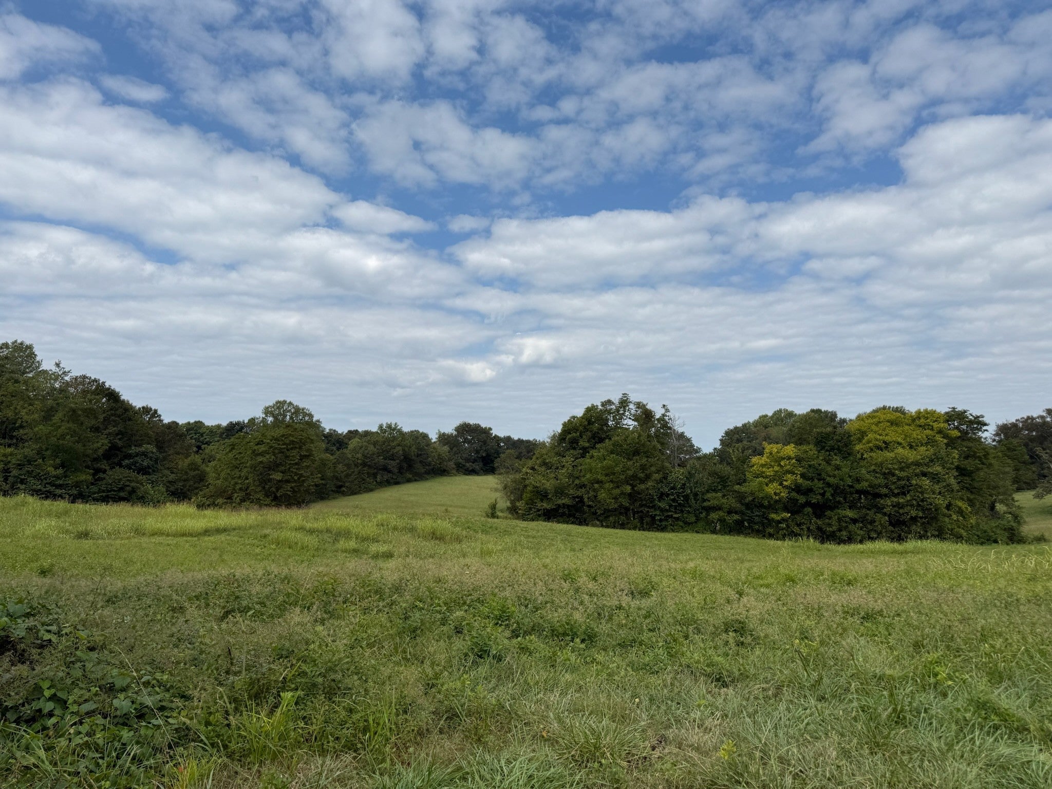 1 County House Rd