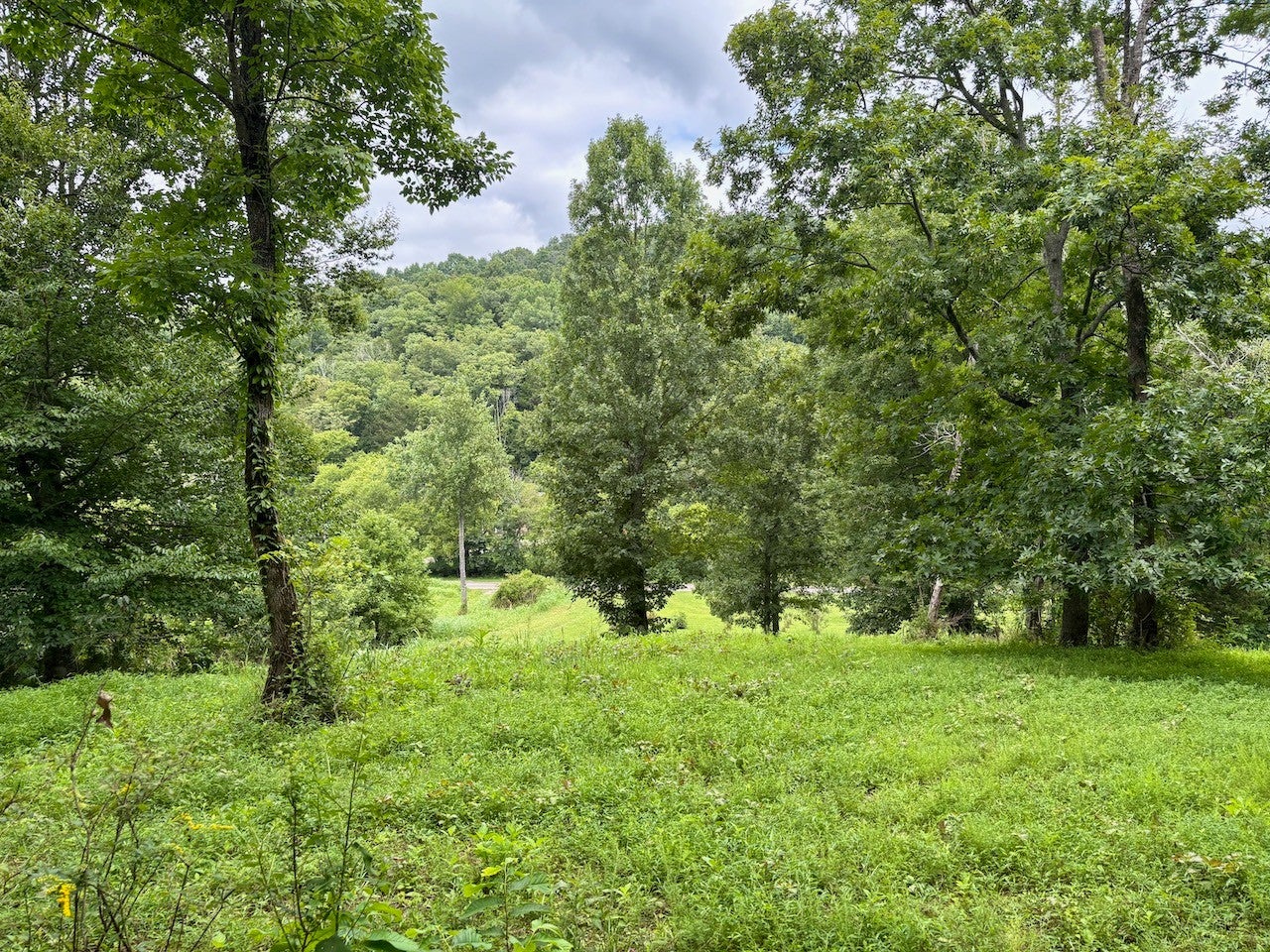 564 Dry Branch Road