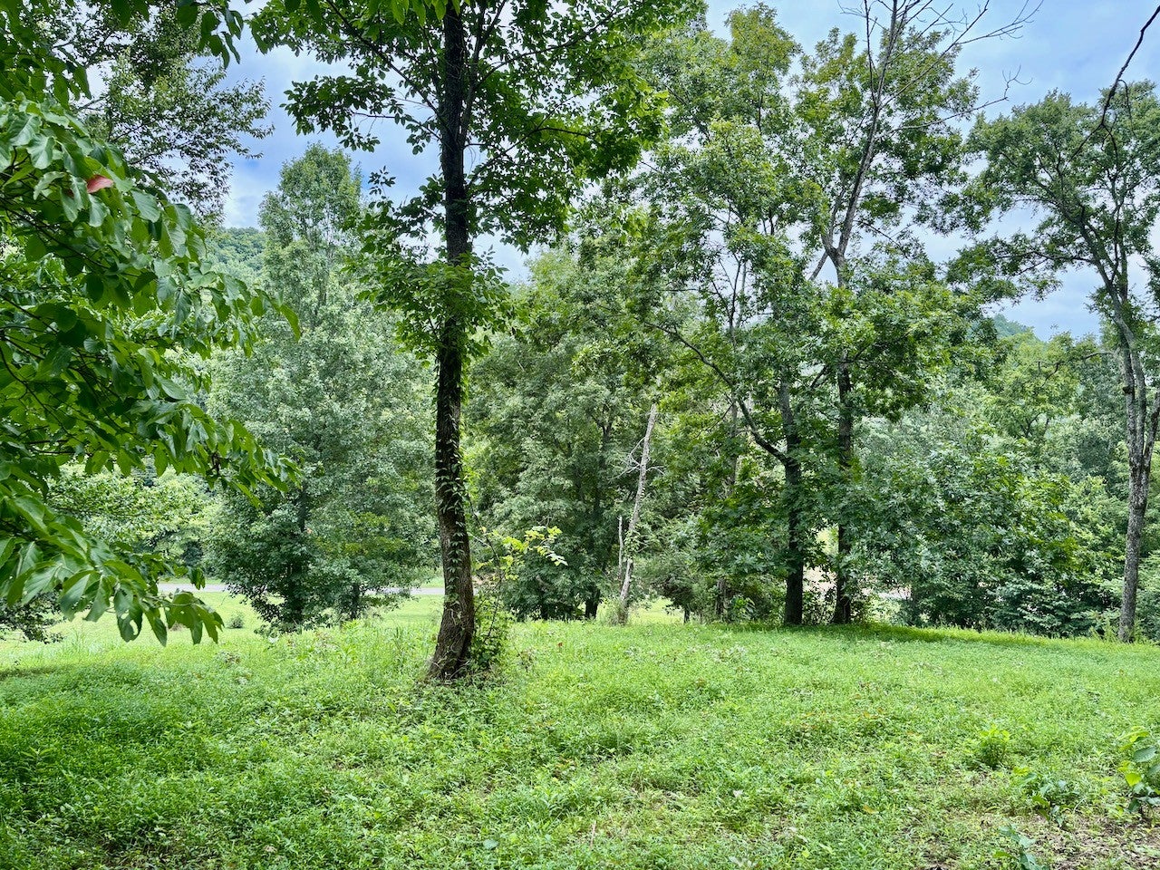 564 Dry Branch Road