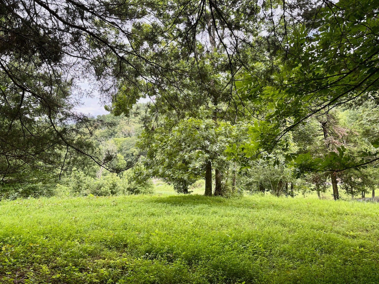 564 Dry Branch Road