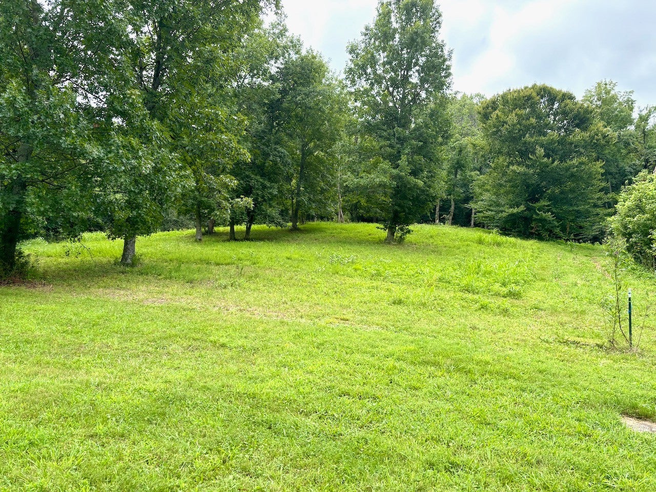 564 Dry Branch Road
