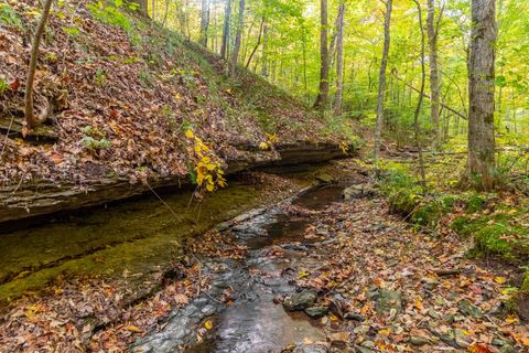 5556 Boy Scout Rd Franklin TN 37064