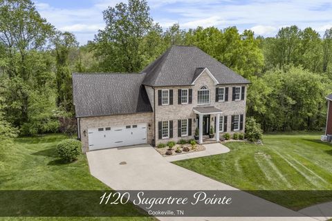 1120 Sugartree Pt, Cookeville, TN 38501 - MLS#: 2822117