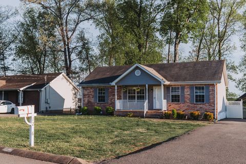 Photo of 1206 Ledbury Dr, Smyrna, TN 37167 (MLS # 3170044)