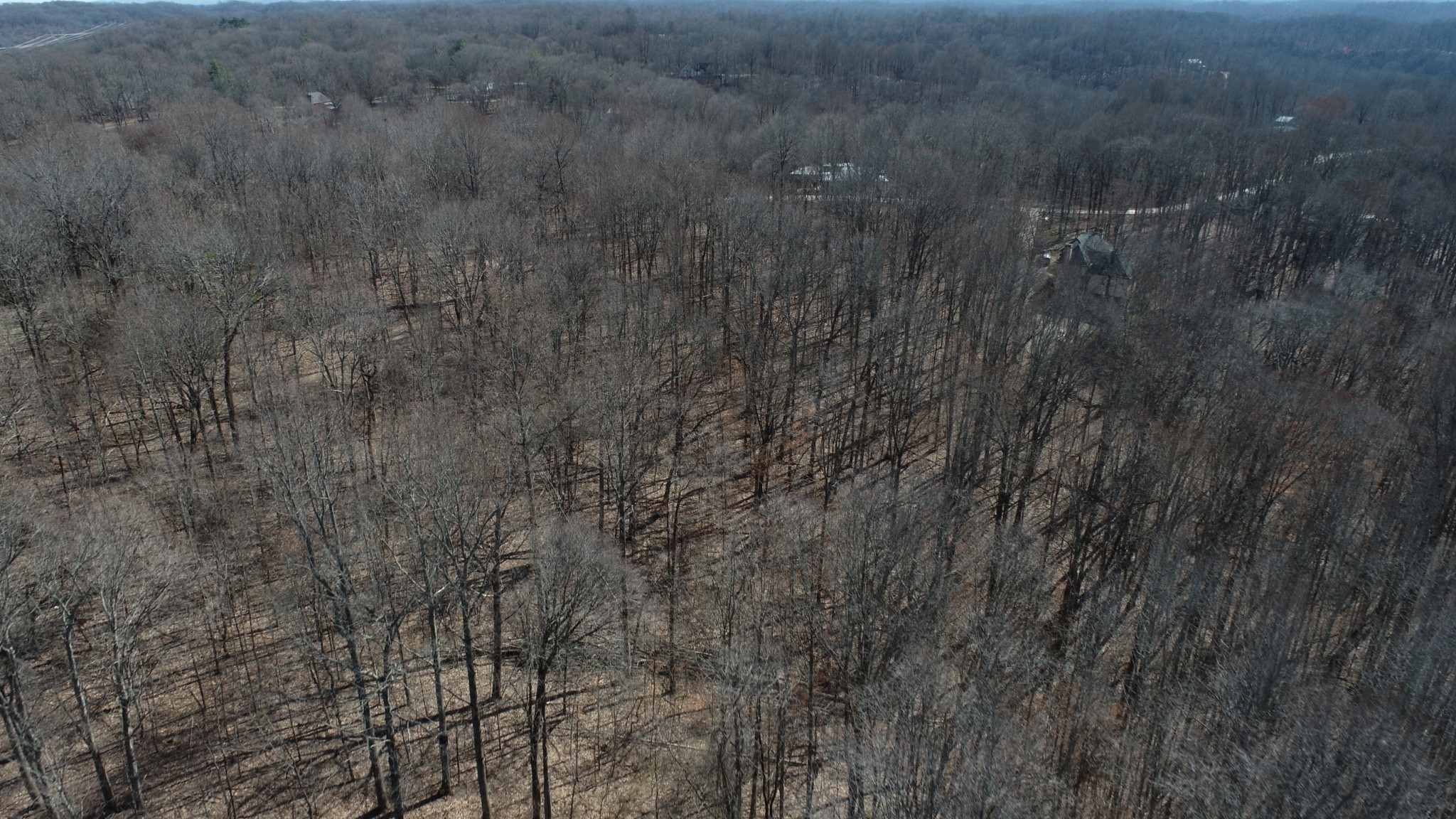 0 Hester Beasley Rd Lot 1