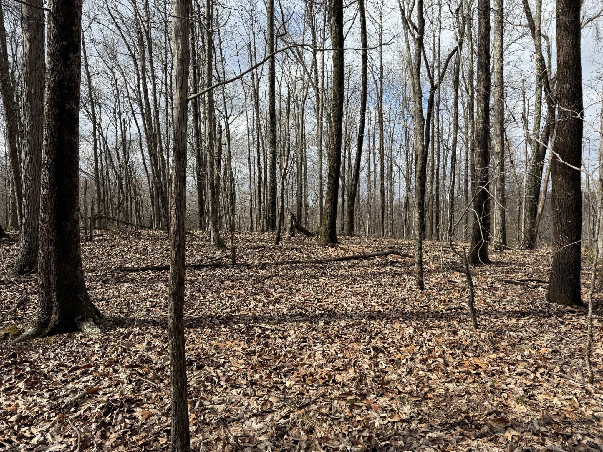 0 Hester Beasley Rd Lot 1