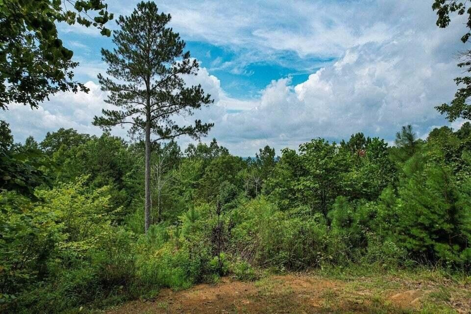 125 Fox Trail Dr