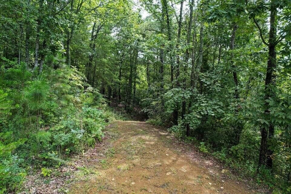 125 Fox Trail Dr