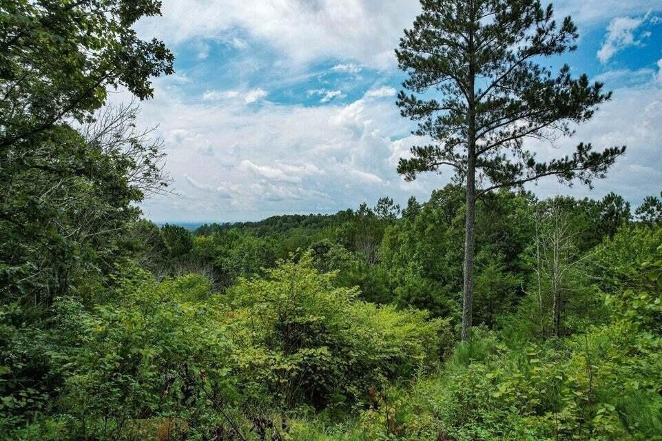 125 Fox Trail Dr