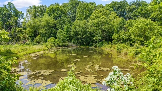 168 Boatman Rd