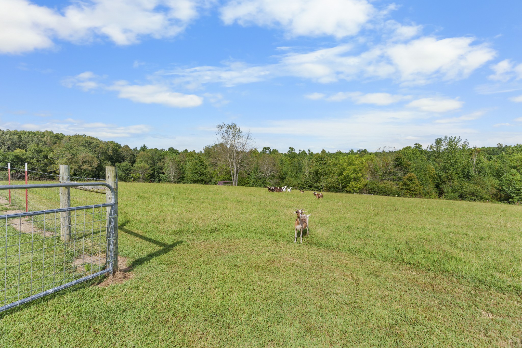 128 Pleasant Garden Rd