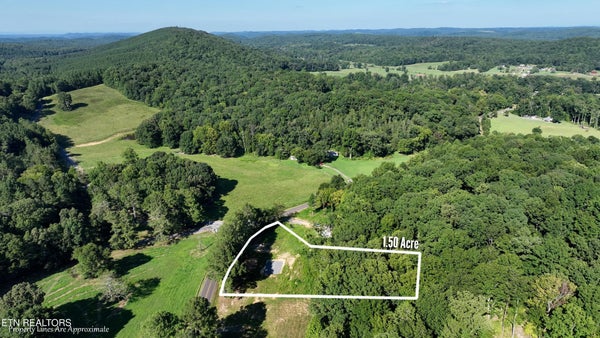 106 COUNTY RD 181, DECATUR, TN 37322 - Image d3c3fe5b1582f7fa36434f91fb2ef2ad/3758139253