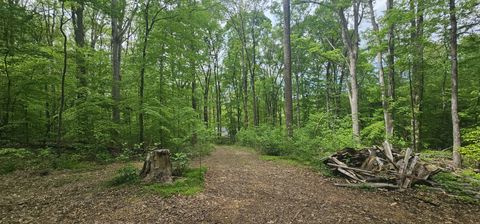 2225 Caney Branch Rd Stewart TN 37175