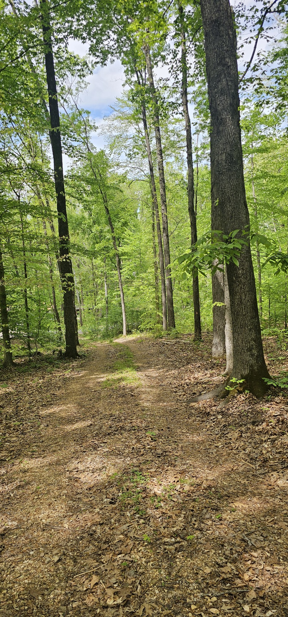 2225 Caney Branch Rd