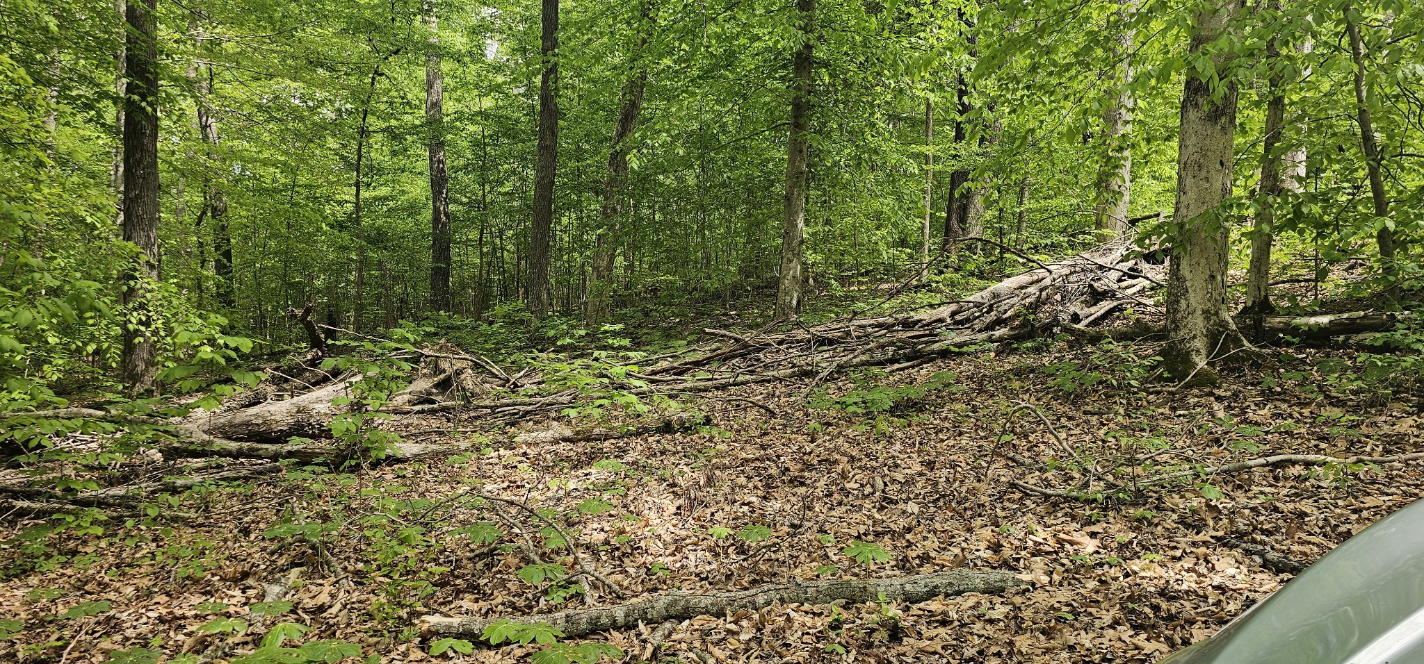 2225 Caney Branch Rd