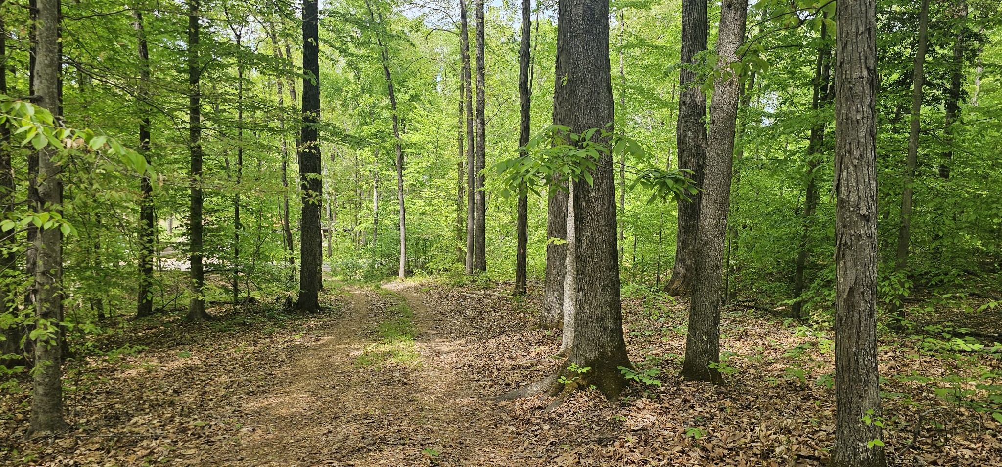 2225 Caney Branch Rd