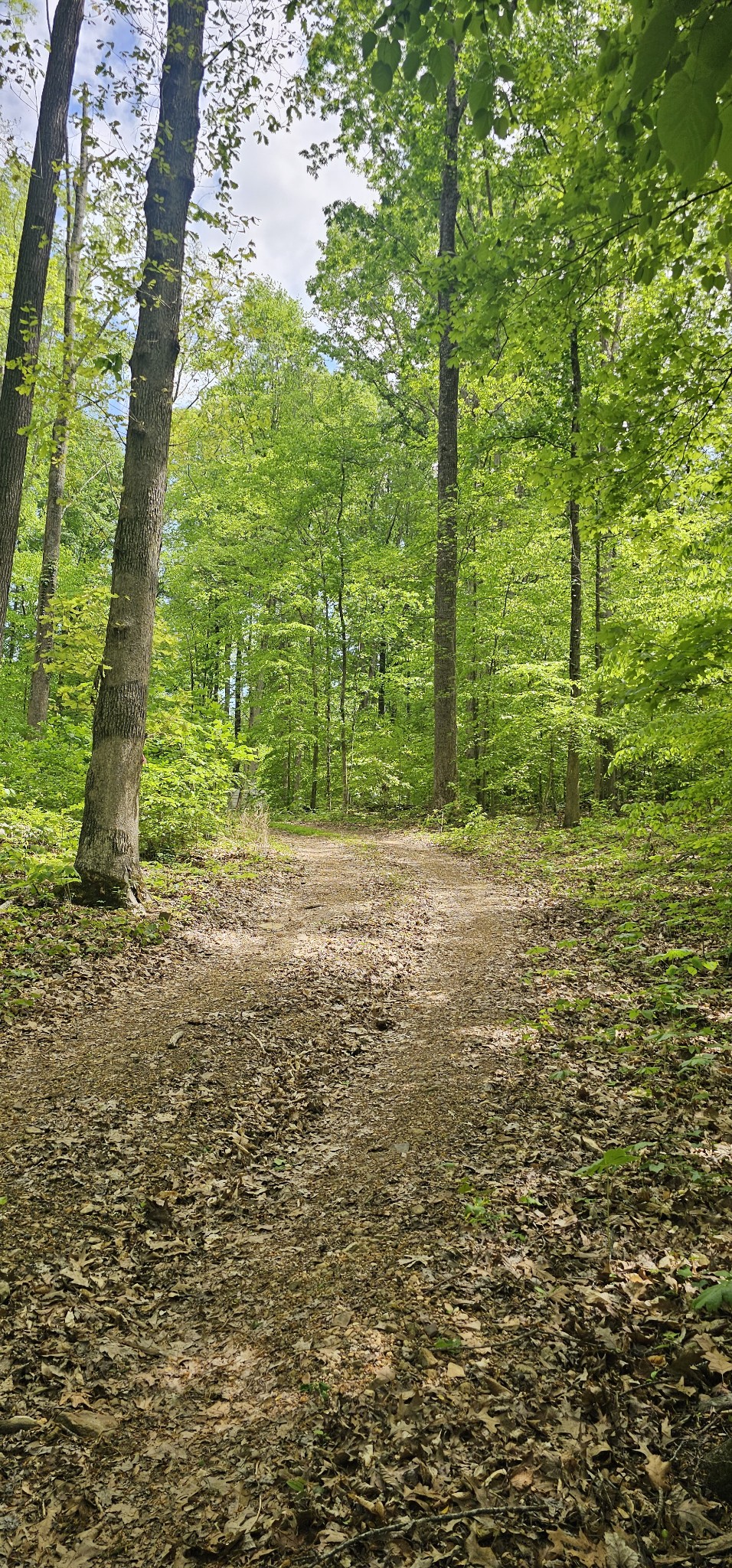 2225 Caney Branch Rd