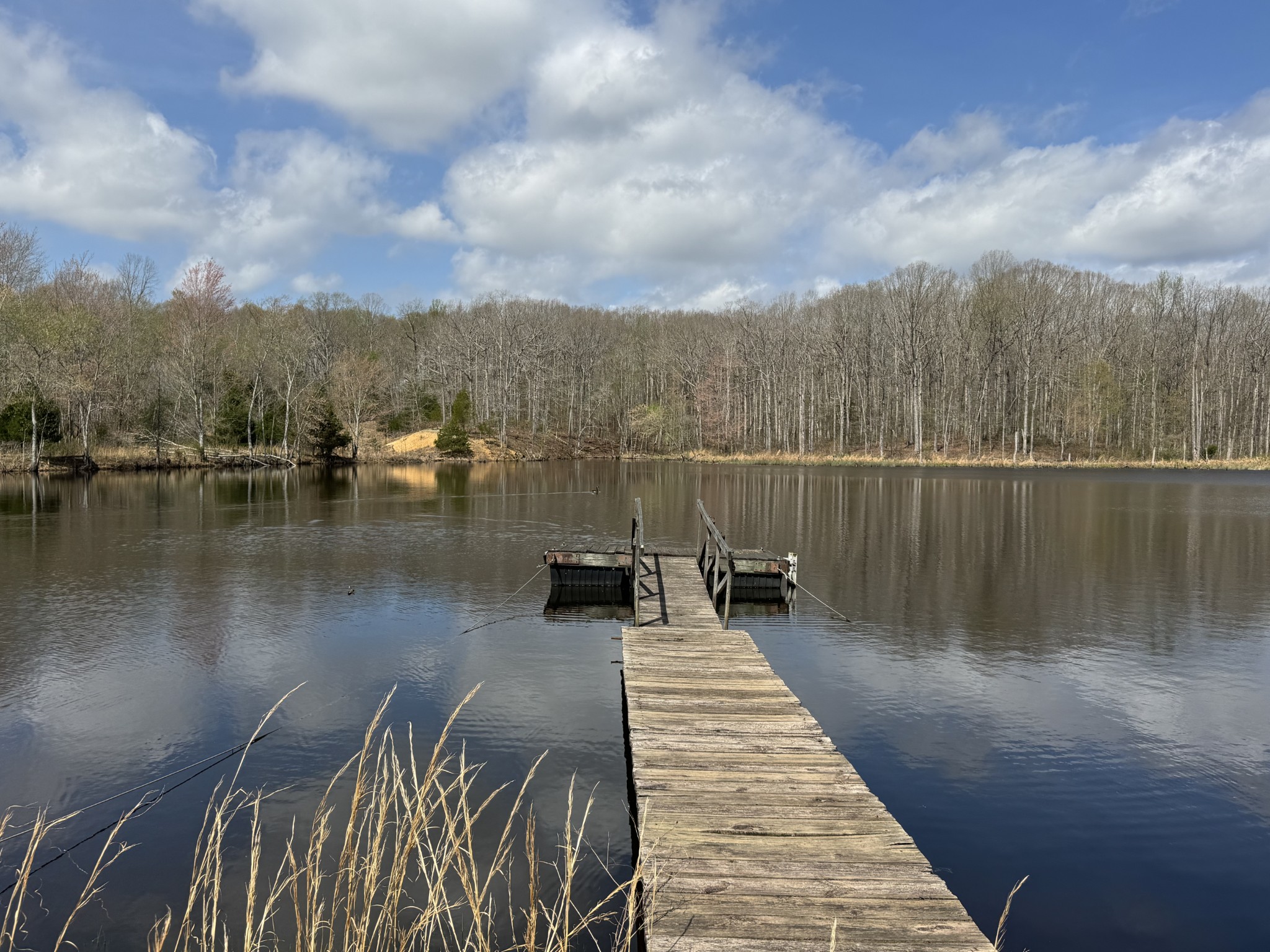 1565 Old Hwy Number One