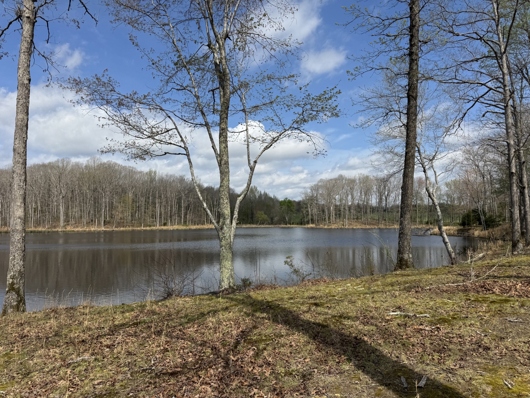 1565 Old Hwy Number One