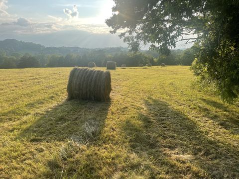 0 Agnew Rd Pulaski TN 38478