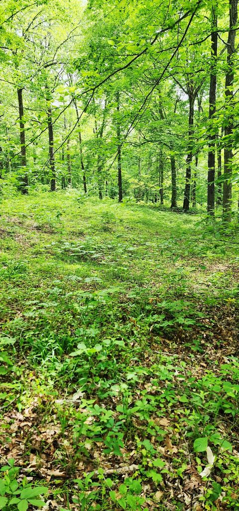 0 Scenic Rd Normandy TN 37360