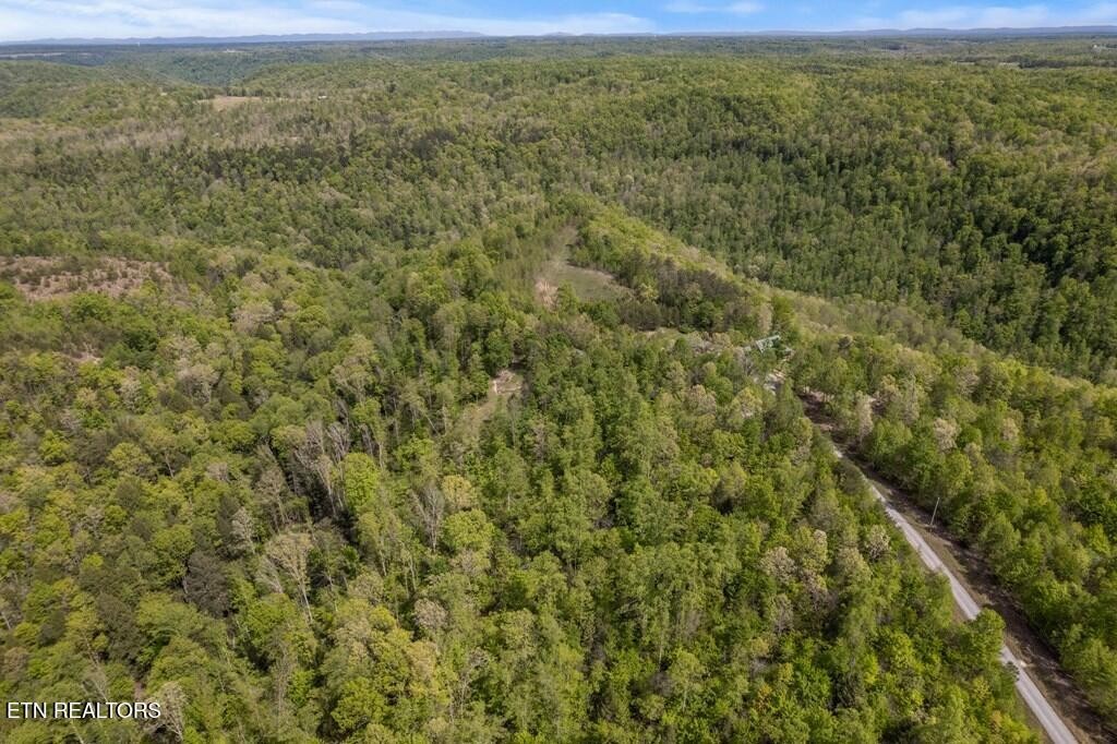 35309 Highland Ridge Tr