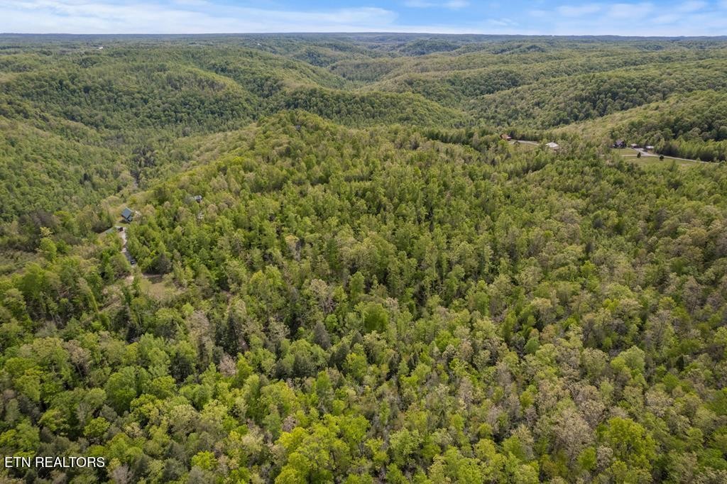 35309 Highland Ridge Tr