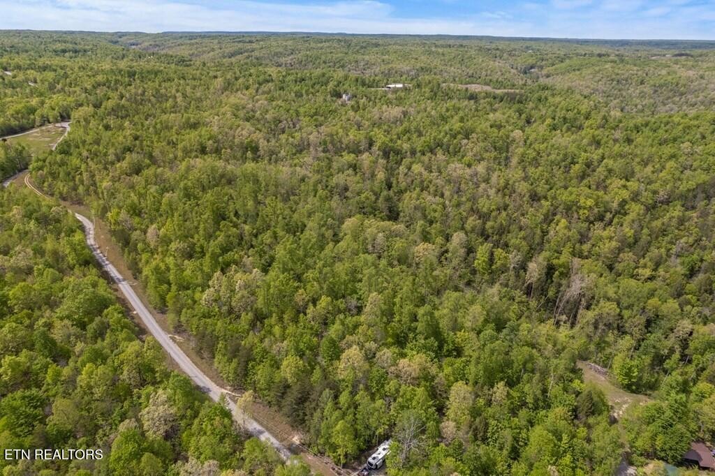 35309 Highland Ridge Tr