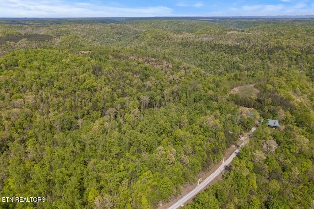 35309 Highland Ridge Tr