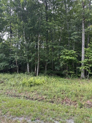 3031 SHAWNEE RD, CROSSVILLE, TN 38572 - Image d42eeeb0f60d4b976470aacd6dfad9d3/3779740228