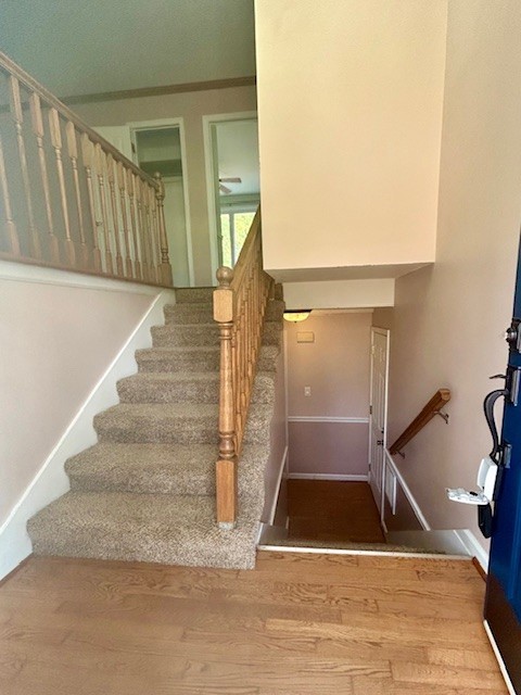 2503 Independence Dr