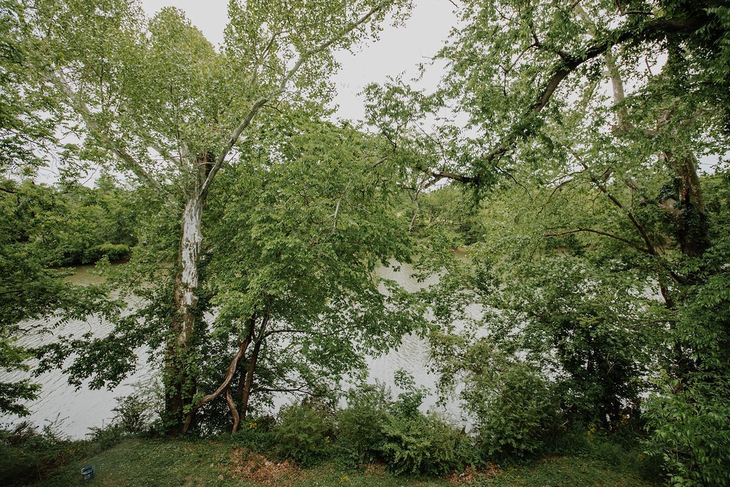 Columbia, Tennessee 38401, United States, ,Residential,Active,87542