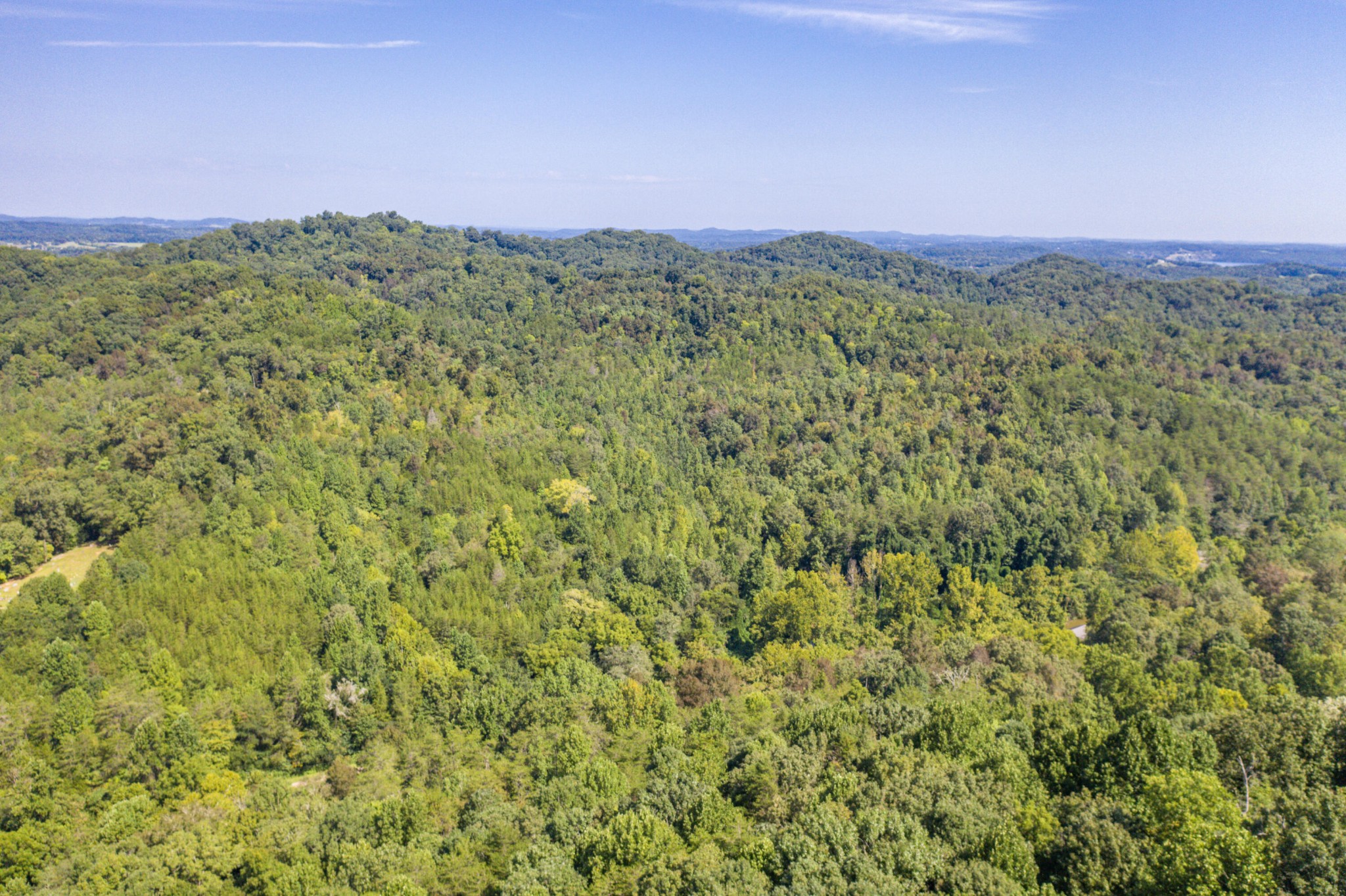 1125 Scenic River Road 71.67 Acres