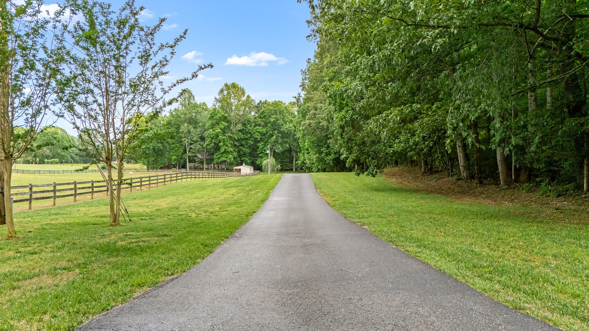 189 Turkey Creek Dr