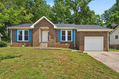 Photo of 1217 Verkler Dr, Clarksville, TN 37042 (MLS # 3217220)