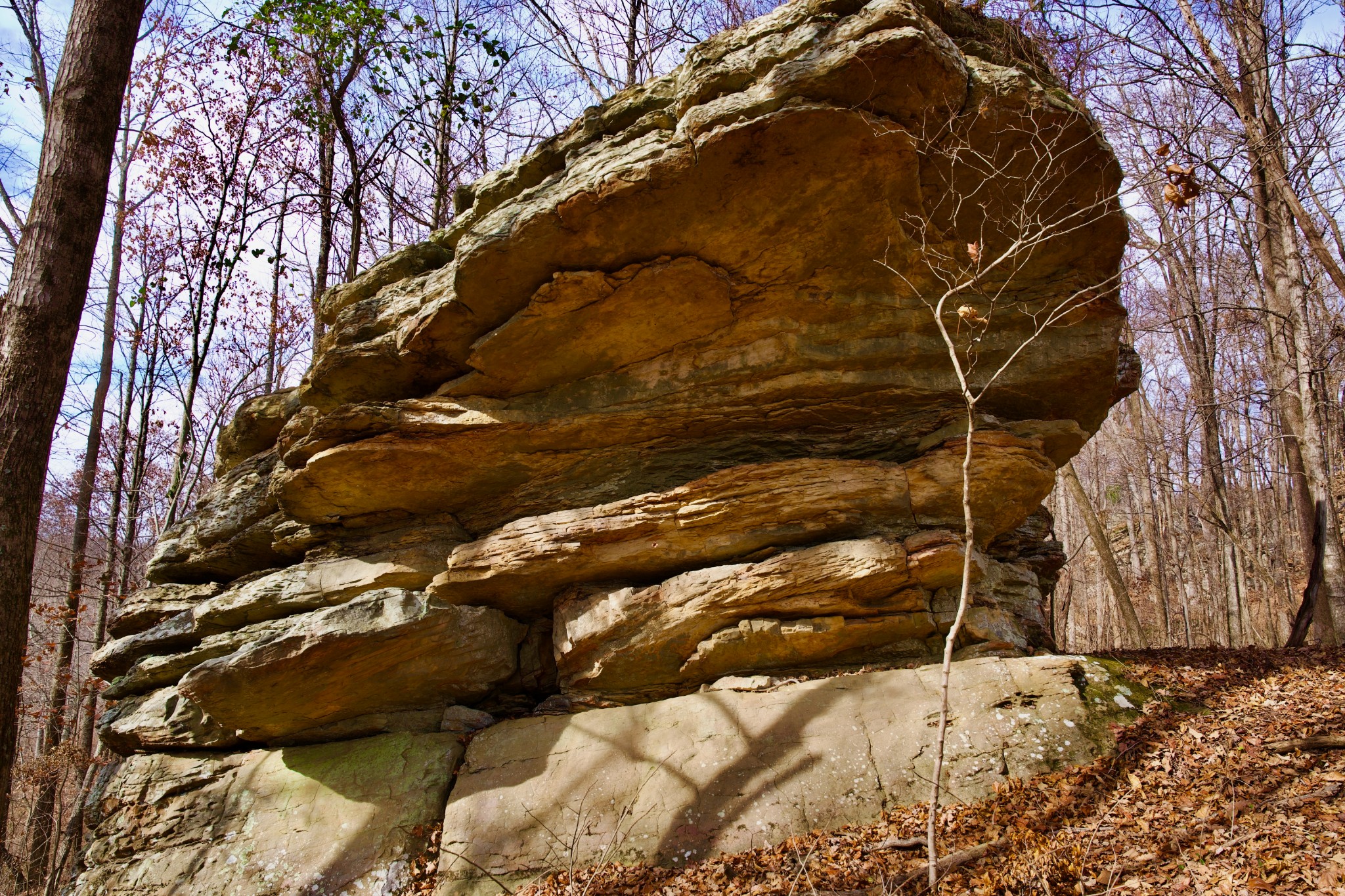 323A White Oak Flatt Rd