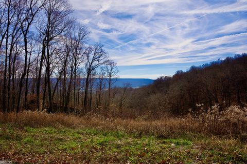 323A White Oak Flatt Rd Sparta TN 38583