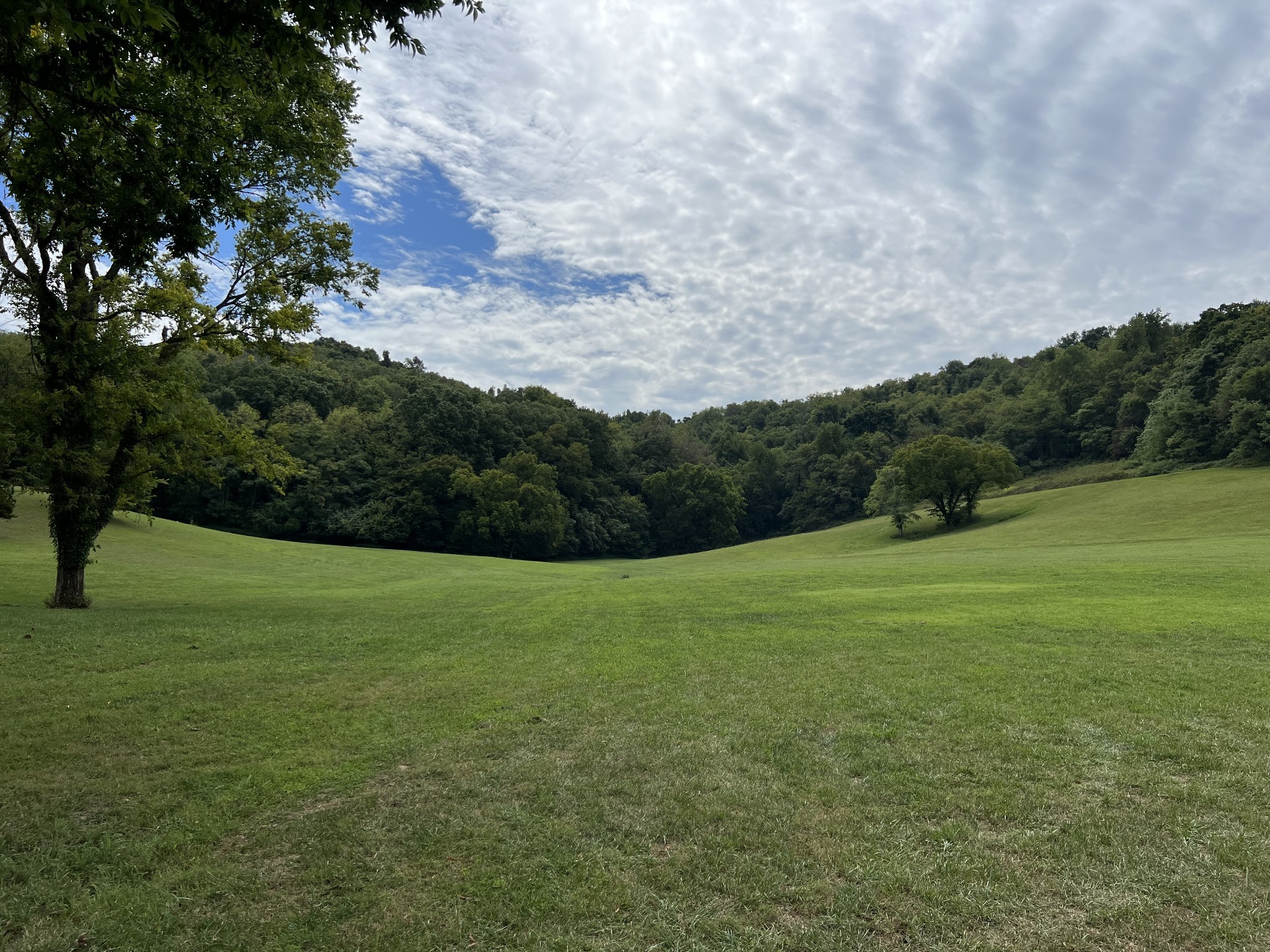 Middle Tennessee Properties 4 2297 Allisona Rd