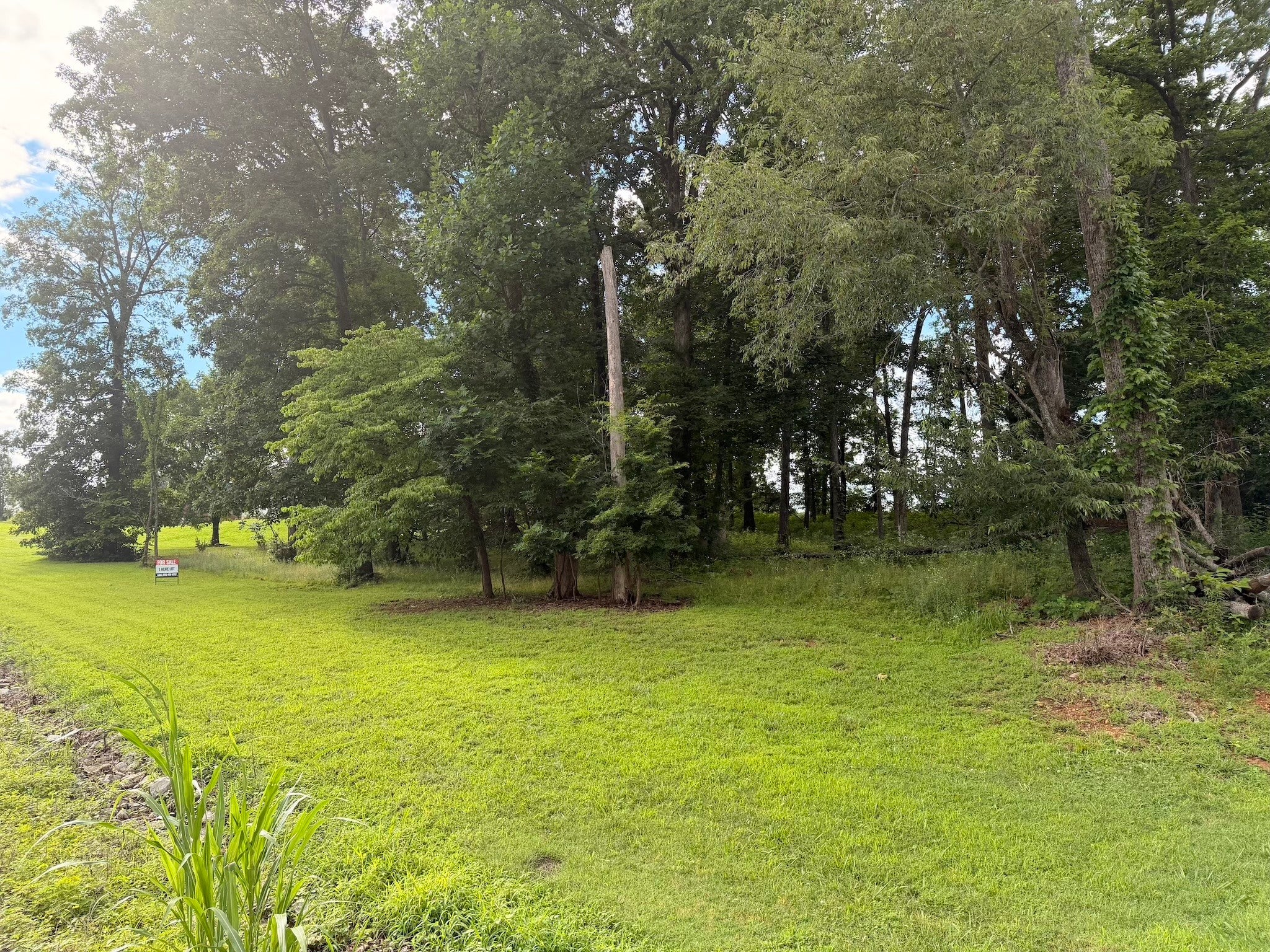 106 Hillside Dr