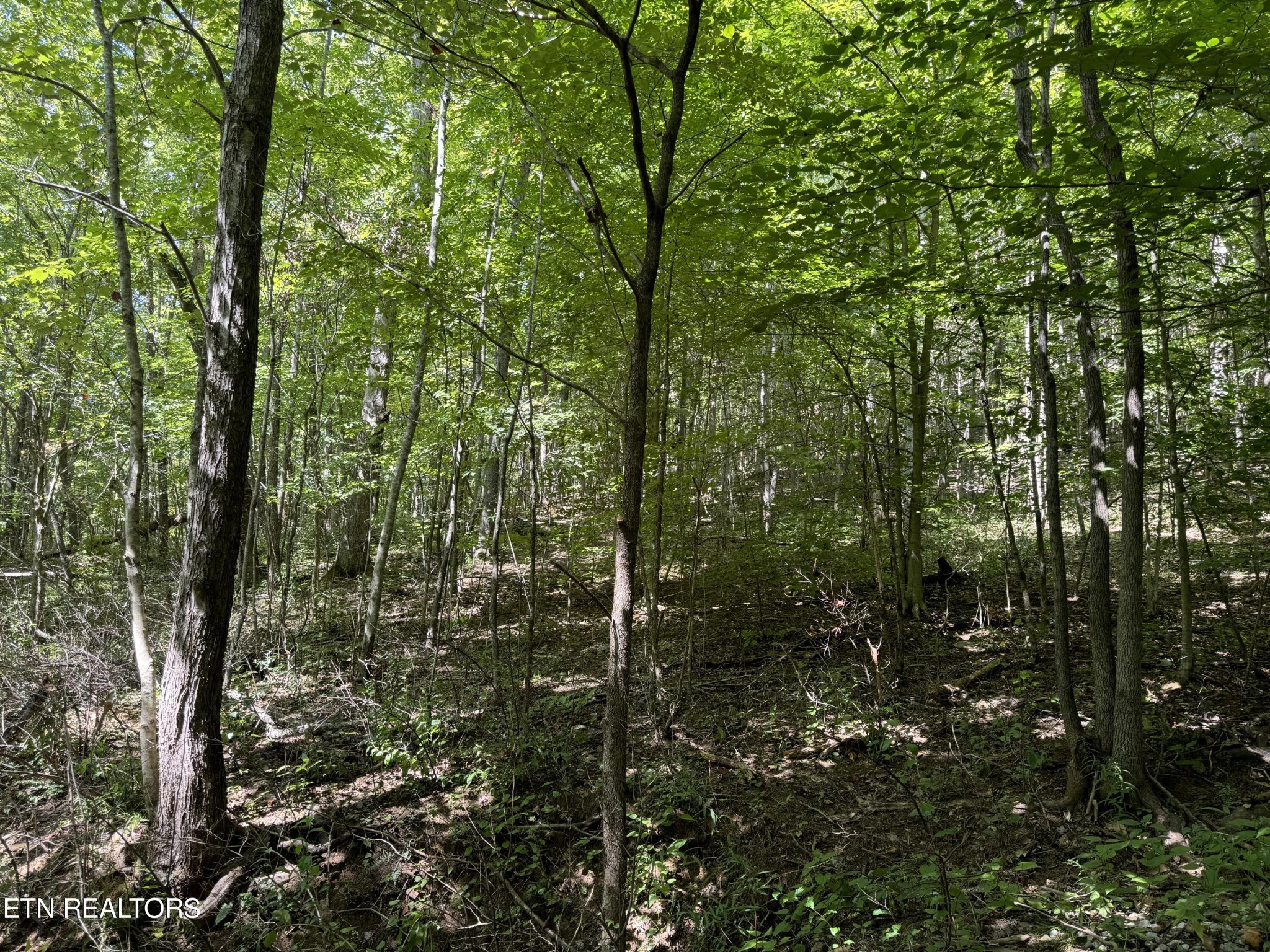 0 Smokey Creek Rd
