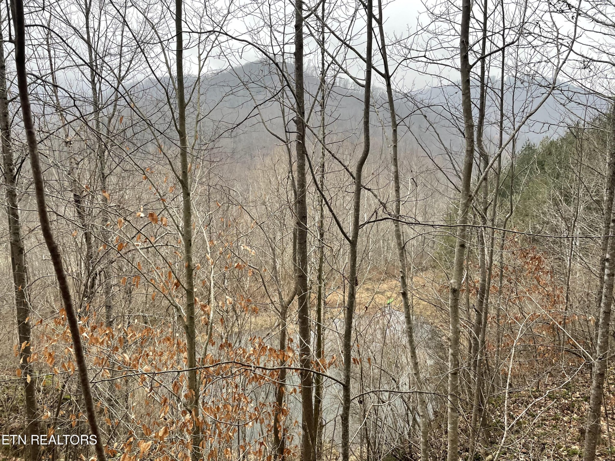 0 Smokey Creek Rd