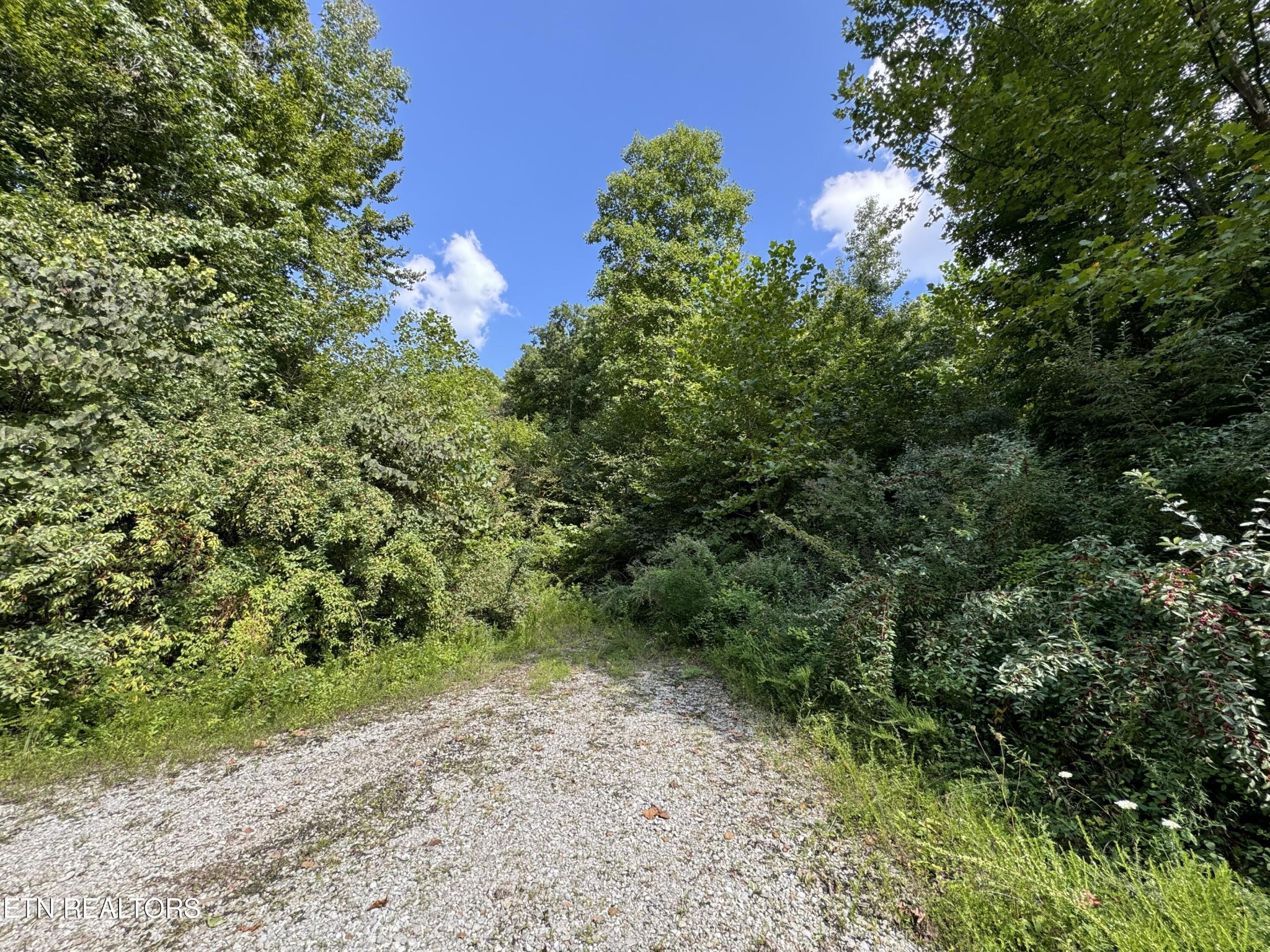 0 Smokey Creek Rd
