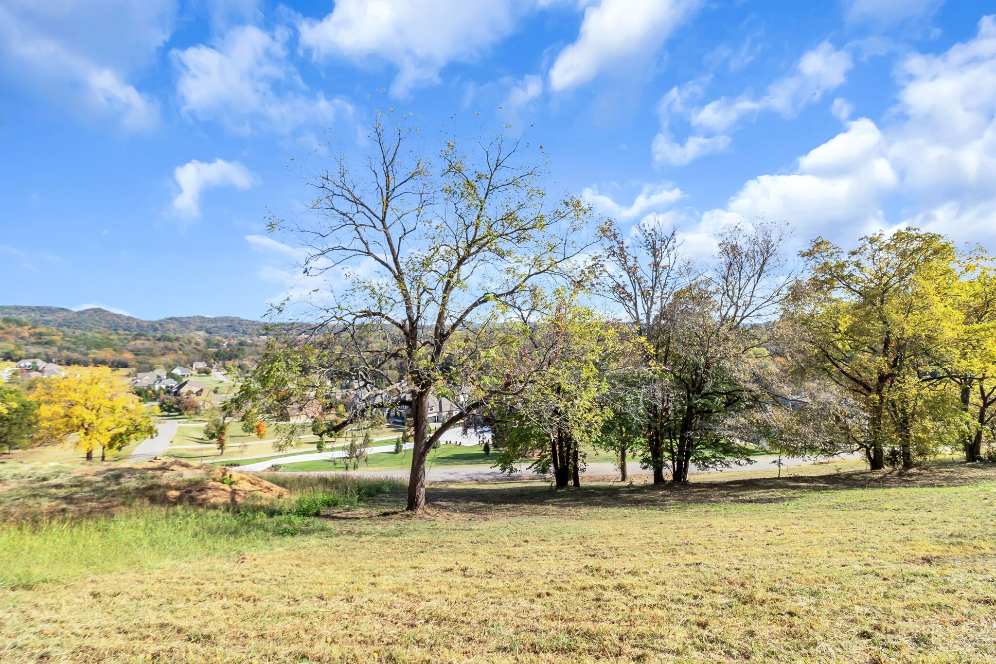 4439 Ivan Creek Dr