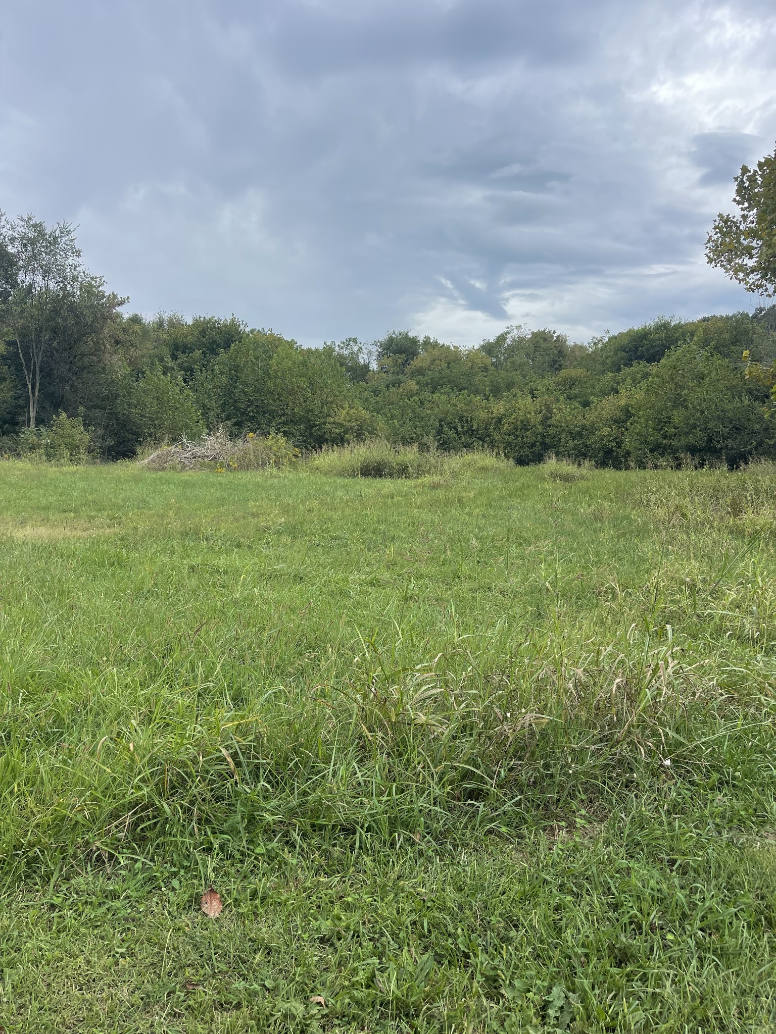 17366 Clay County Hwy