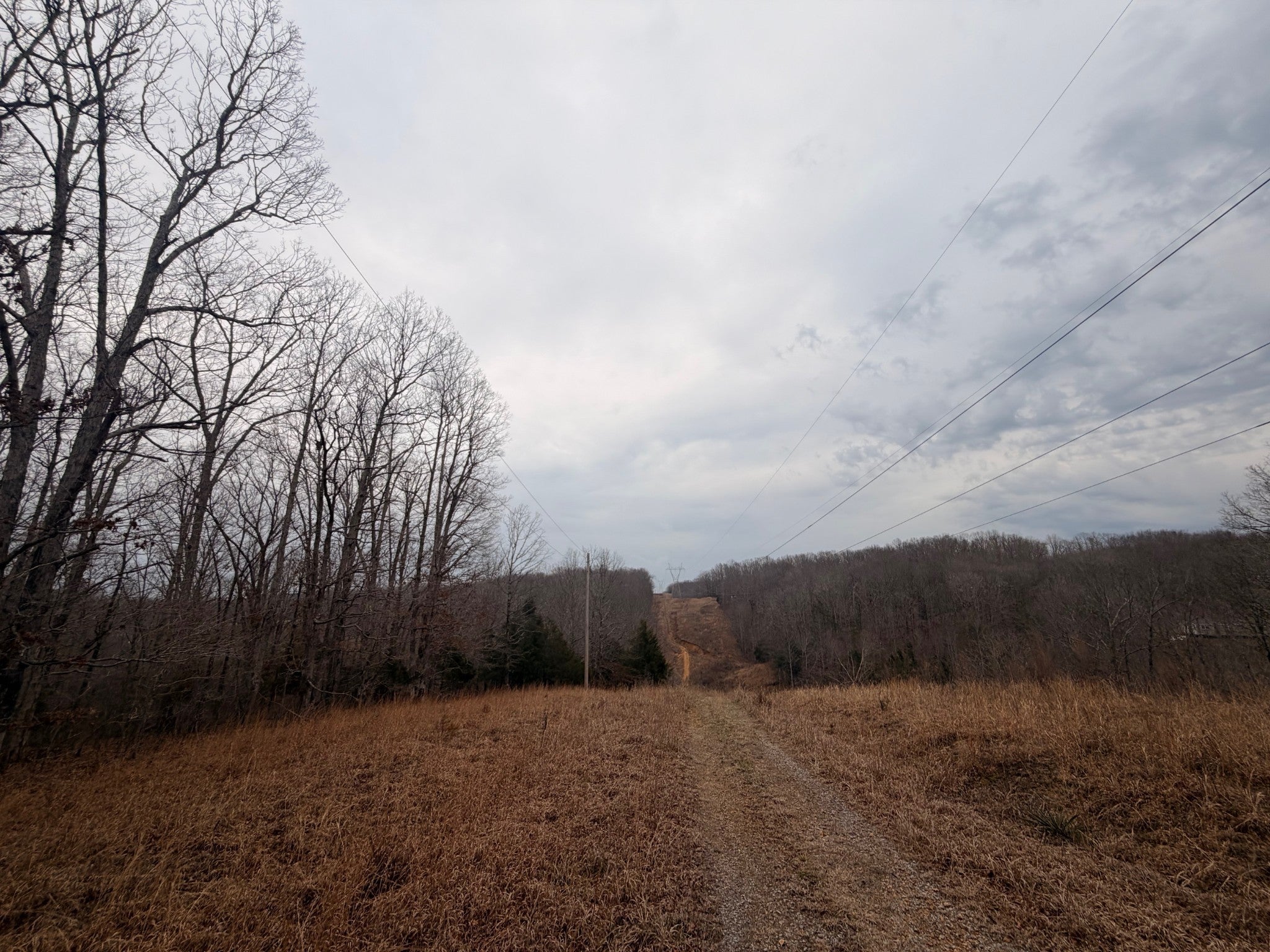 4 Blue Bird Ct