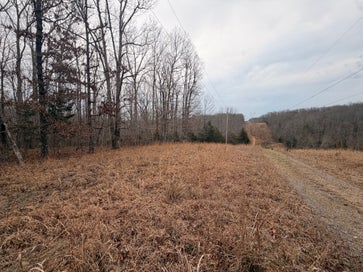 4 Blue Bird Ct Nunnelly TN 37137